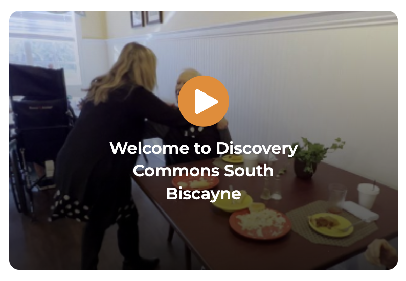 South Biscayne Video